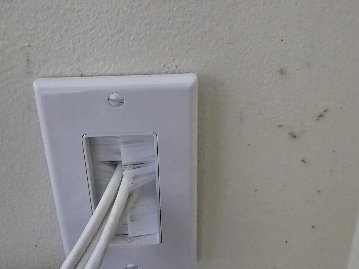 Network cables run to a wall plate